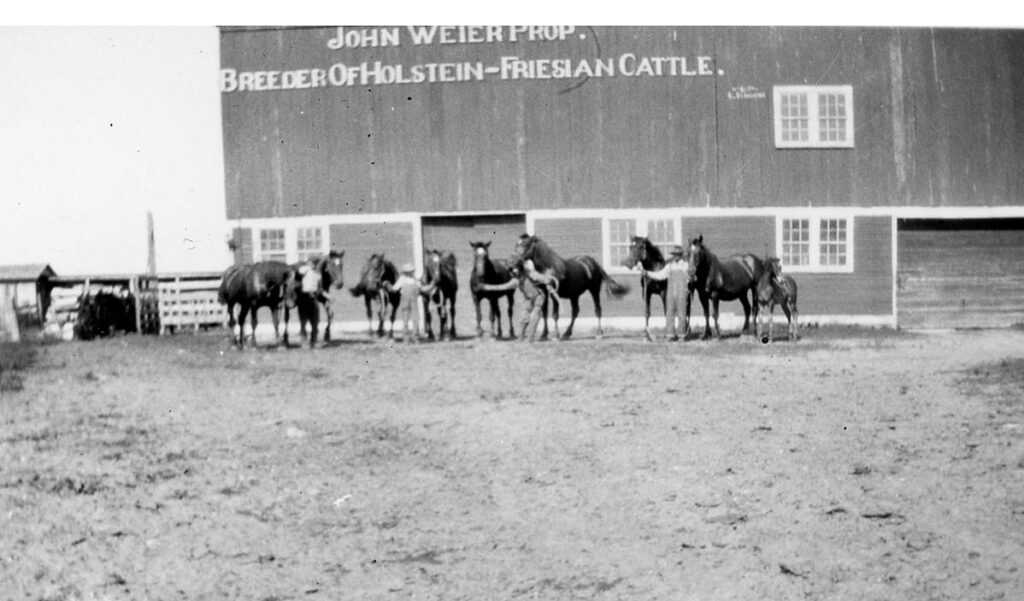 Weier Farm circa 1950 in the Town of Brazeau
